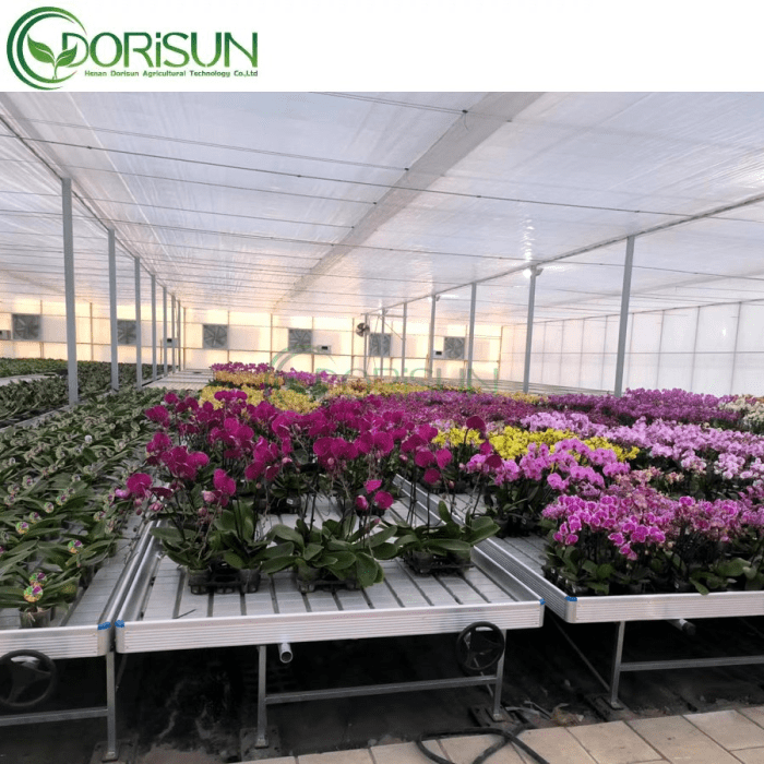 Automated Rolling Bench Greenhouse System Tray Aluminum Greenhouse ...